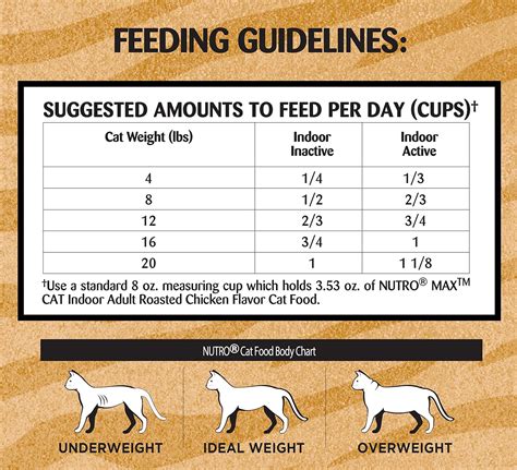 Cat Food Amount Chart