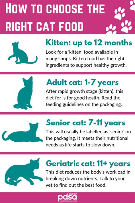 Cat Food Info Chart