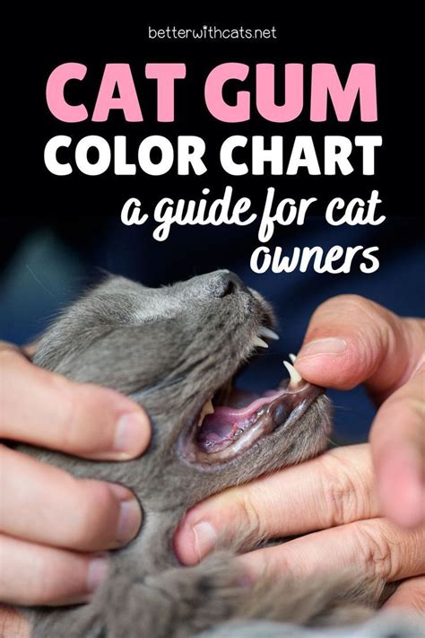 Cat Gum Color Chart
