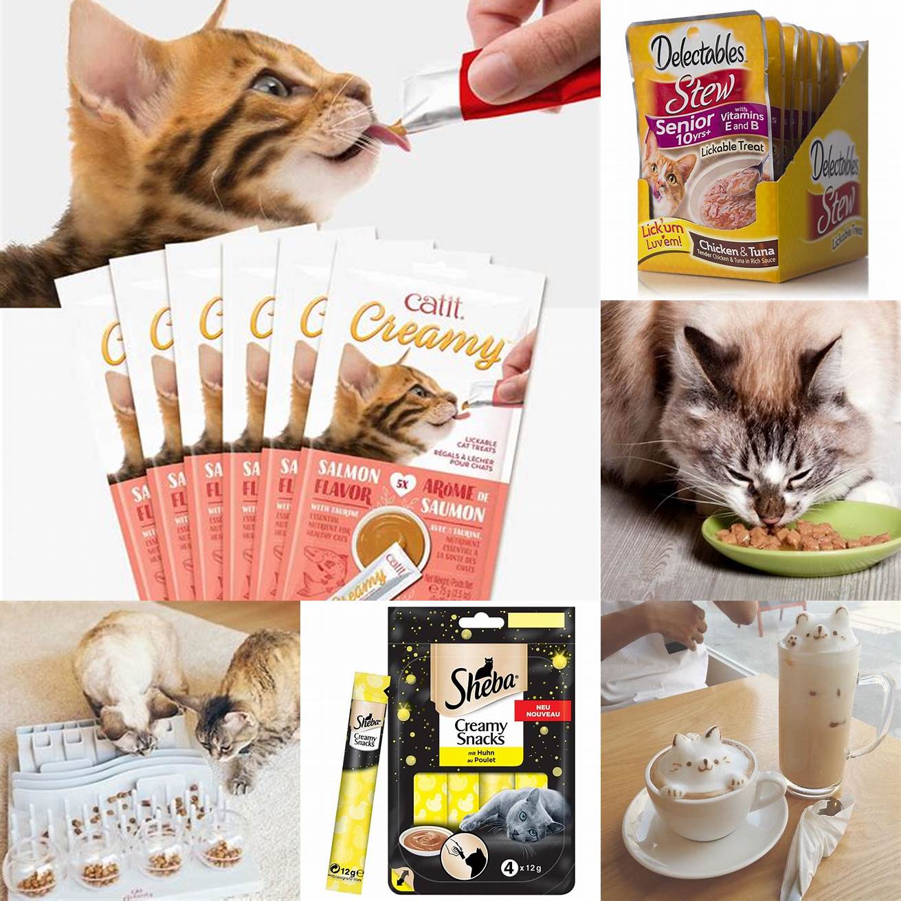 Cat-friendly snacks and drinks