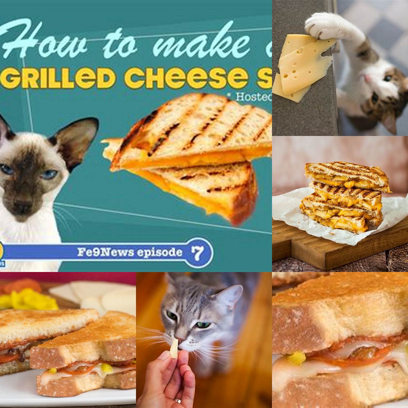 Cat-tastic Grilled Cheese