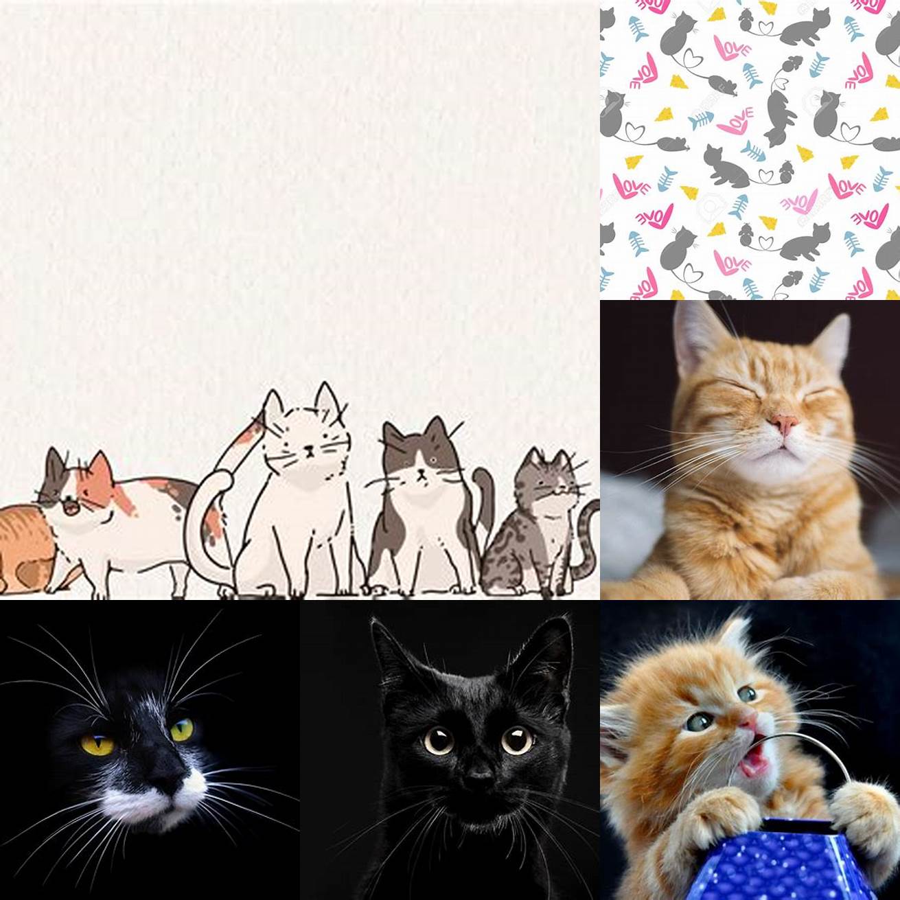 Cat-themed backgrounds