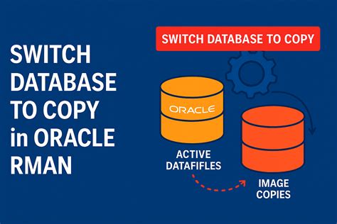 Catalog Start With Switch Database To Copy