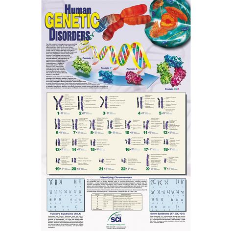 Catalogs Of Human Genes And Genetic Disorders