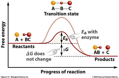 Catalyst on a reaction