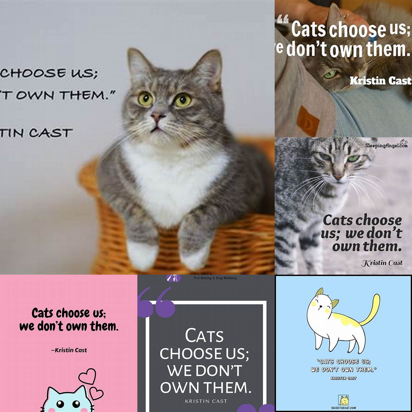 Cats choose us we dont own them - Kristin Cast