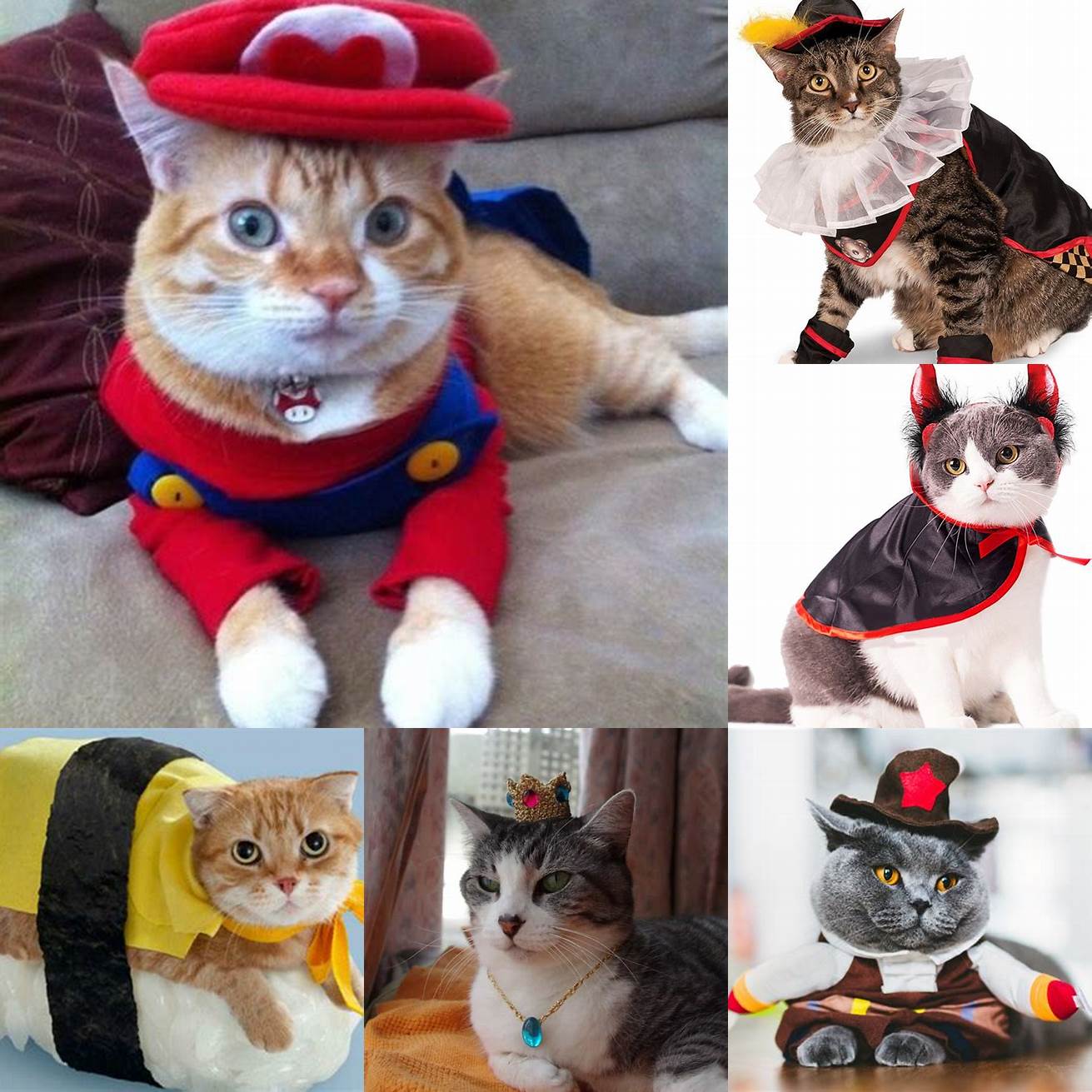 Cats in costumes