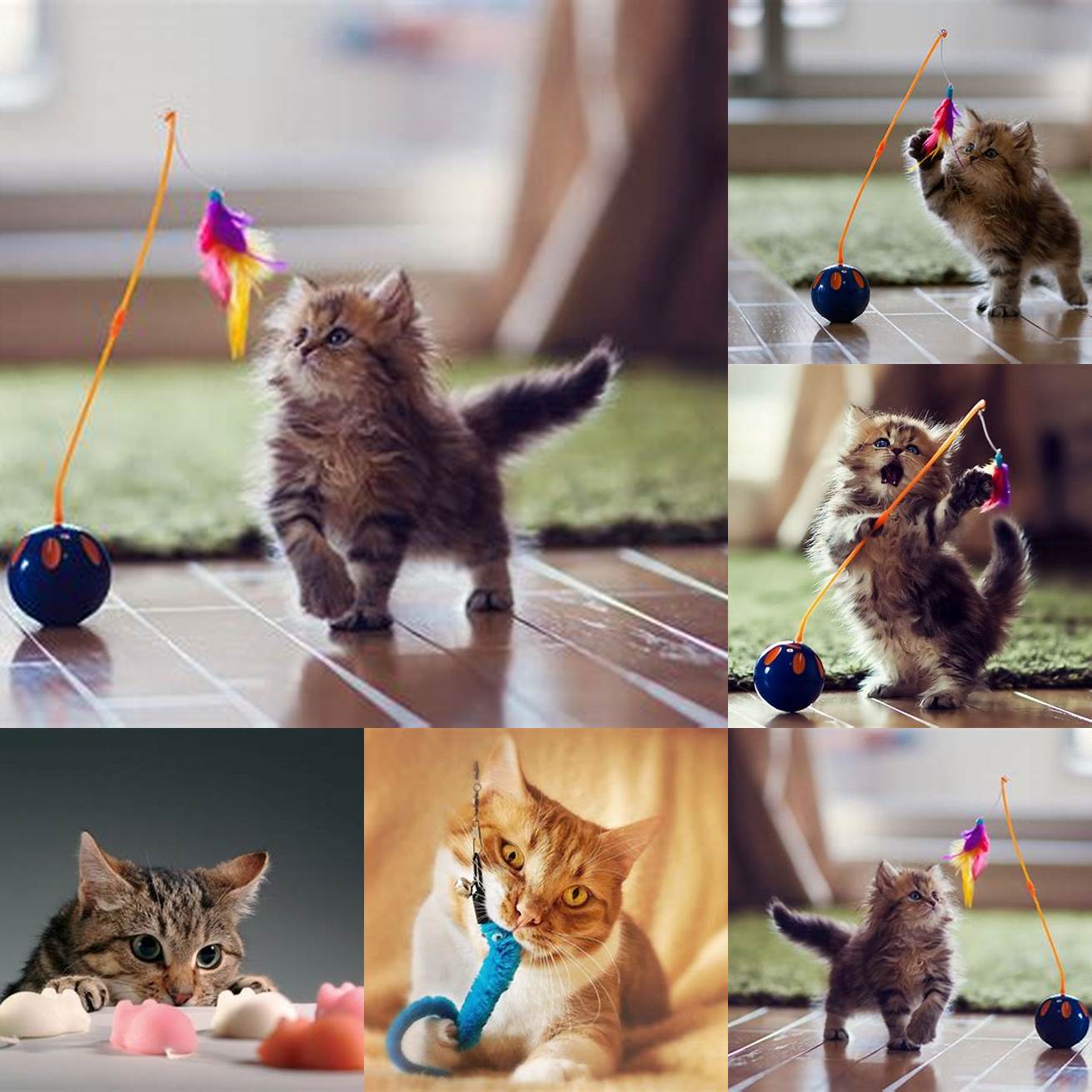 Cats playing with toys