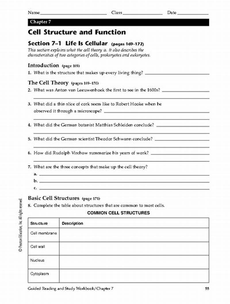 Cell Structure And Function Chapter 7 Coloring Pages