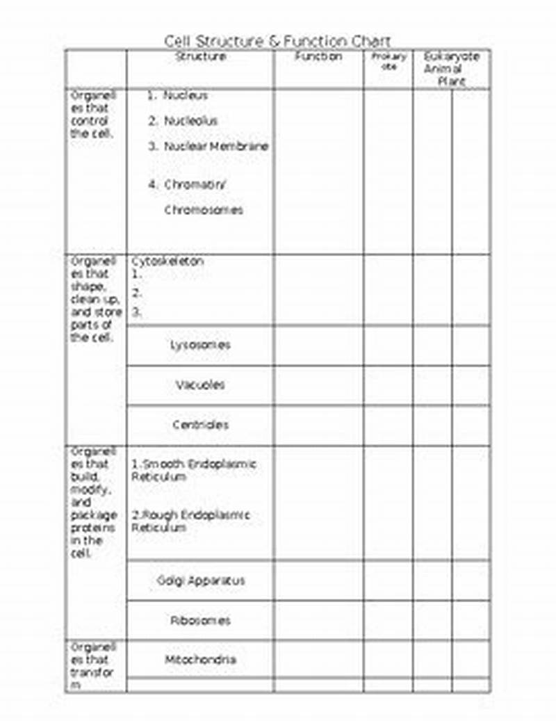 Cell Structure And Function Chart Answer Key