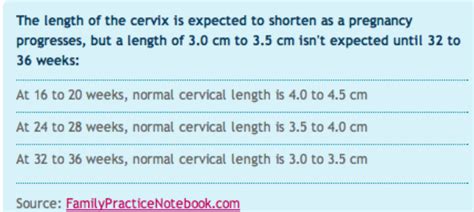 Cervix Measurement Chart