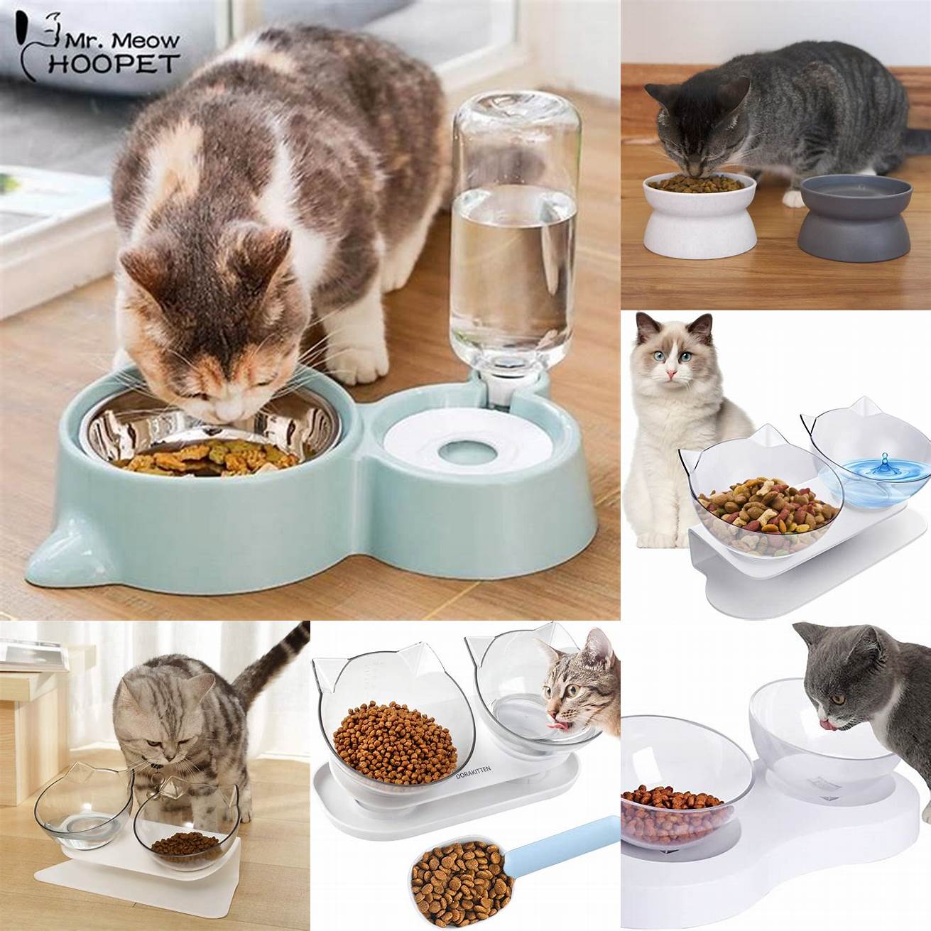 Change food and water bowls
