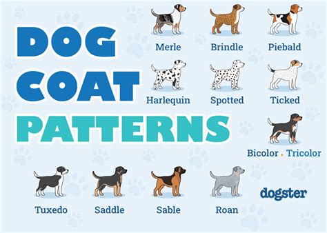 Chart Dog Fur Patterns