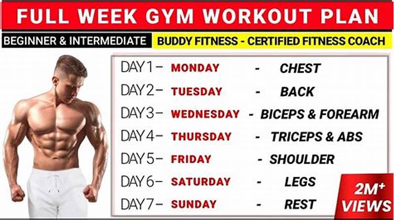 Chart Of Exercise Workout For One Week