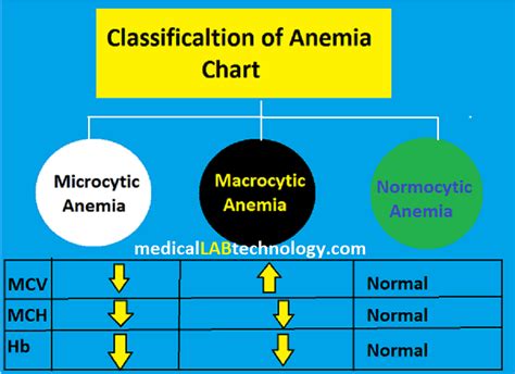 Chart On Anemia