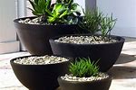 Cheap Big Plant Pots