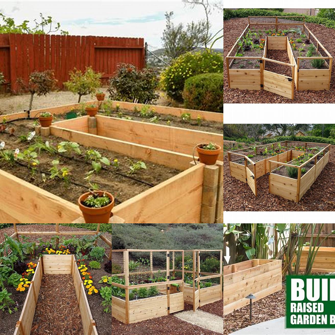 Check for Pests Cedar Raised Garden Beds may attract pests