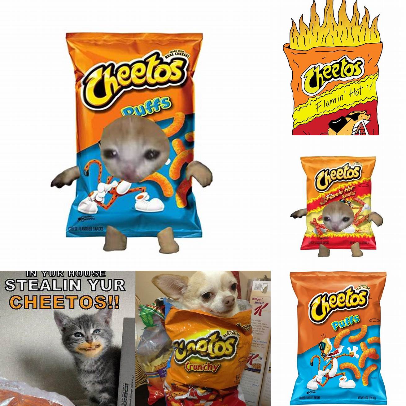 Cheetos Bag