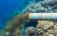 Chemical Pollution on Marine Life