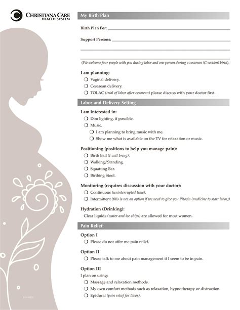 Childbirth Plan Template