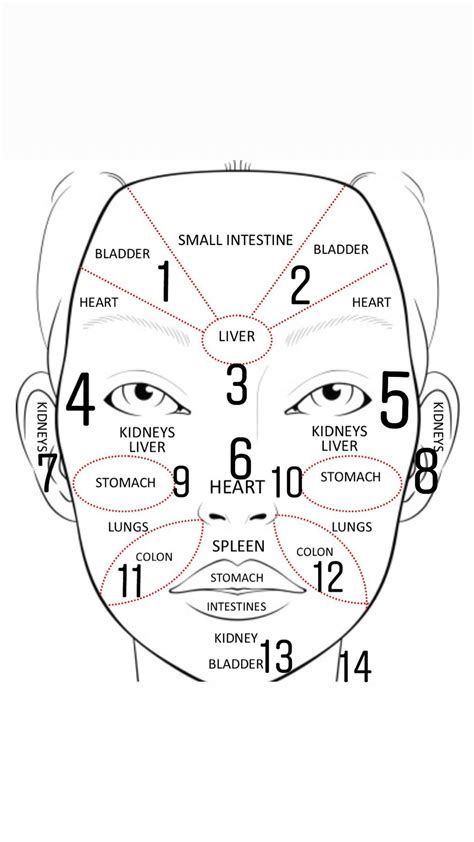 Chinese Facial Chart