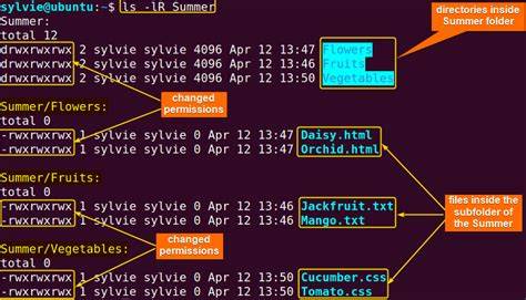 Chmod recursively