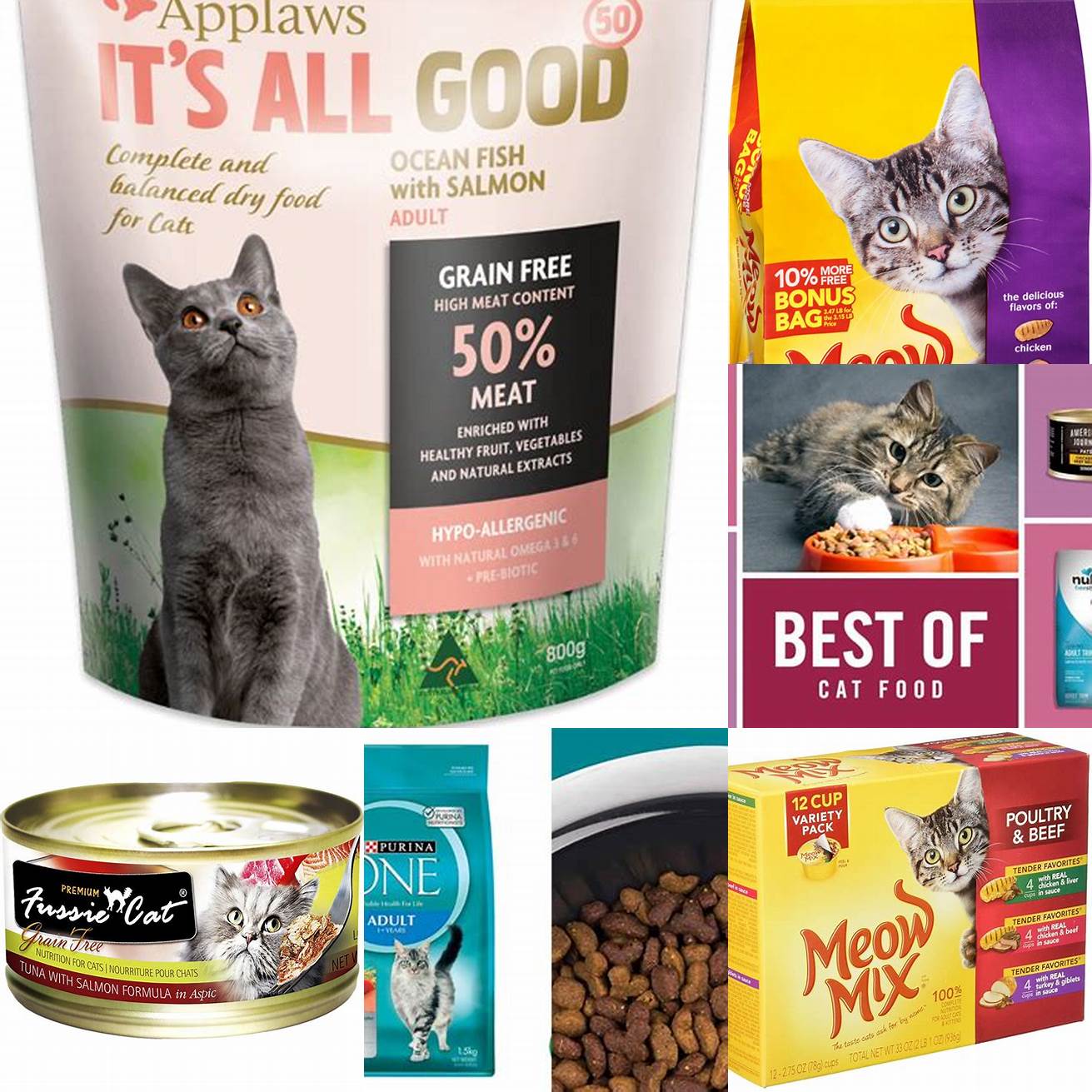 Choose a high-quality cat food