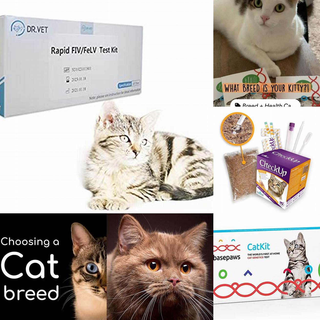 Choose a reputable brand Choose a cat breed test kit from a reputable brand to ensure accuracy and quality