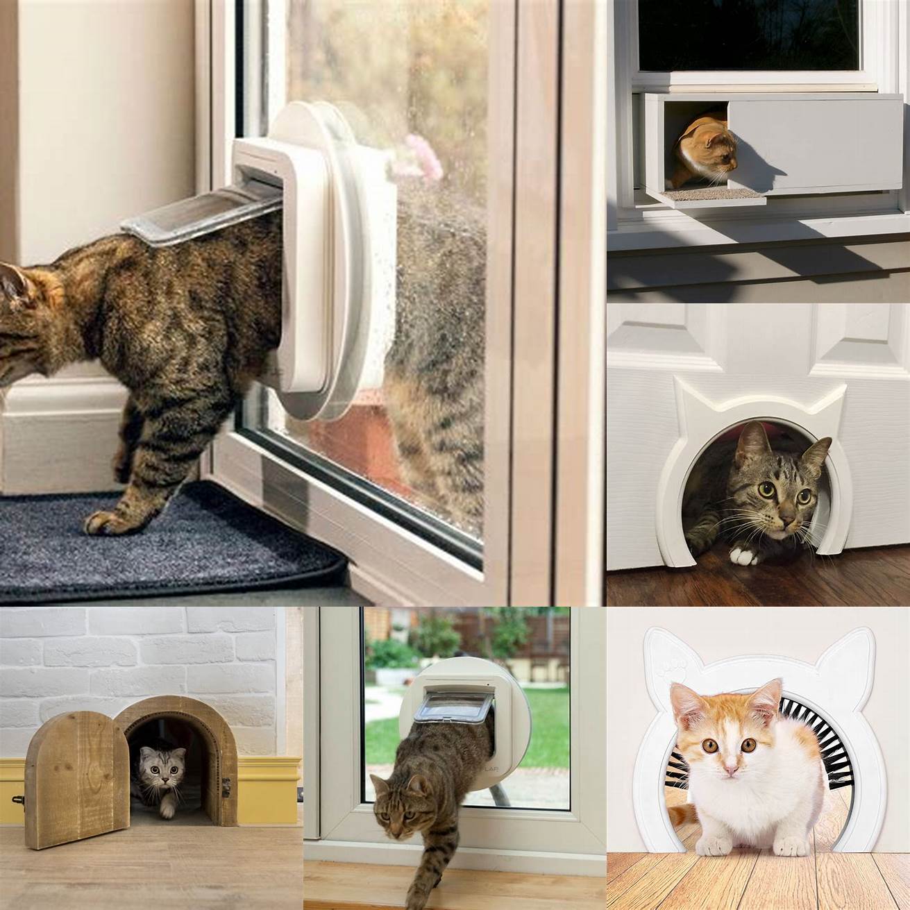 Choose the Right Type of Cat Door