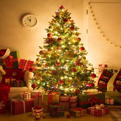 Christmas Tree Shops Online Catalog