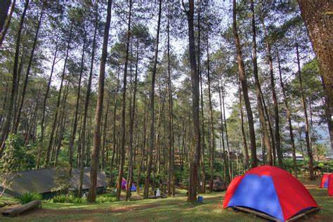 Cikole Lembang Camping Fasilitas