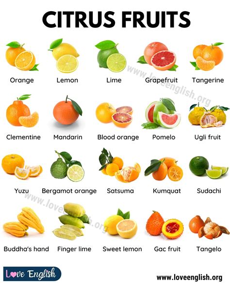 Fruits Examples