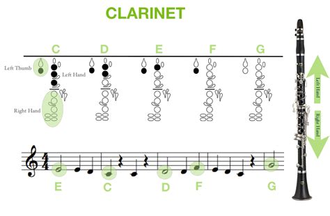 Clarinet Finger Chart For Beginners
