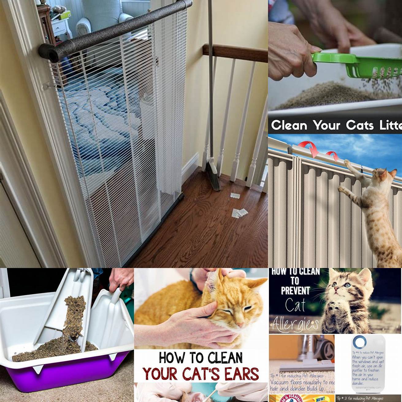 Clean regularly Clean your cat gate regularly to prevent the buildup of dirt and debris This will help to keep it in good condition and ensure that it lasts for years to come