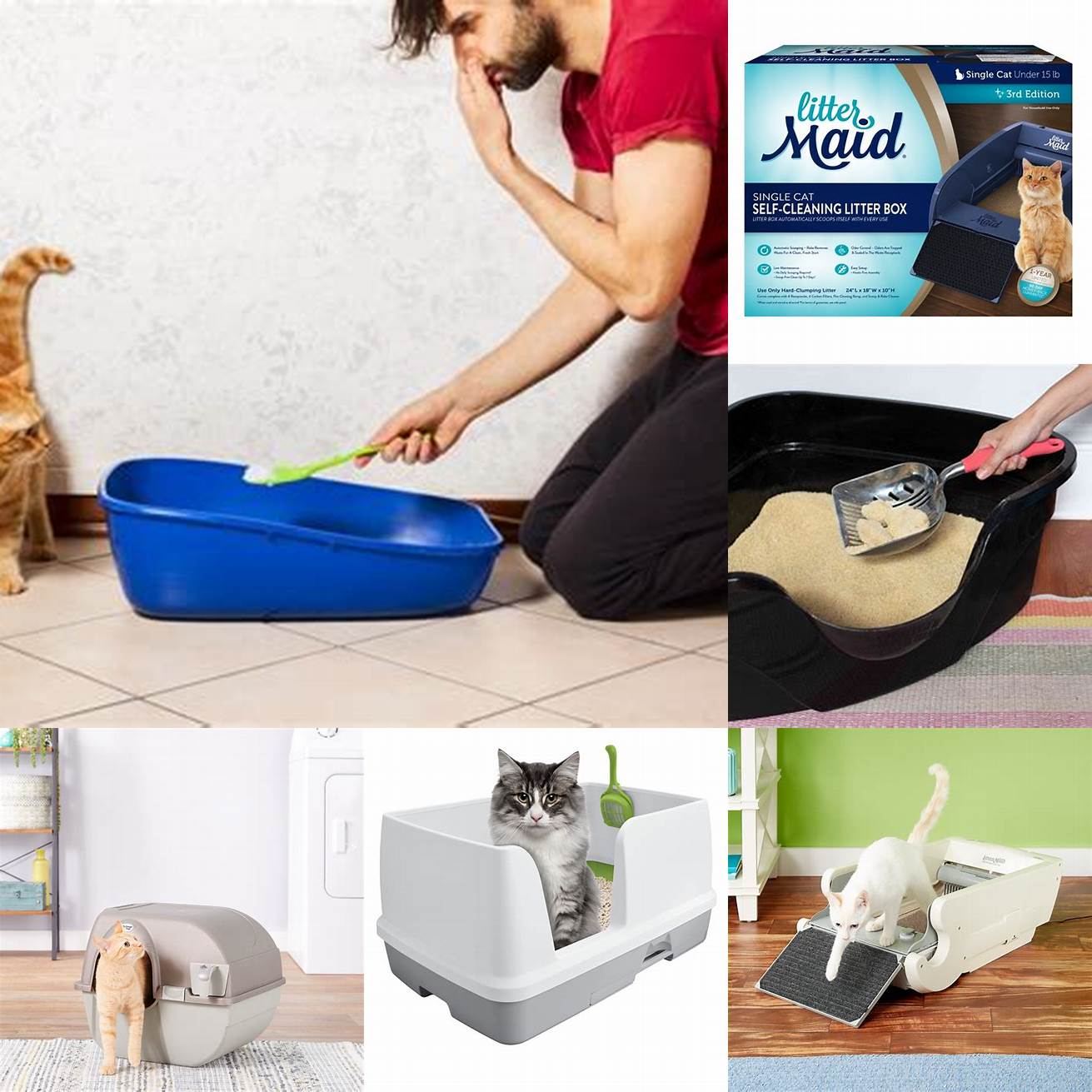 Clean the Litter Box Regularly