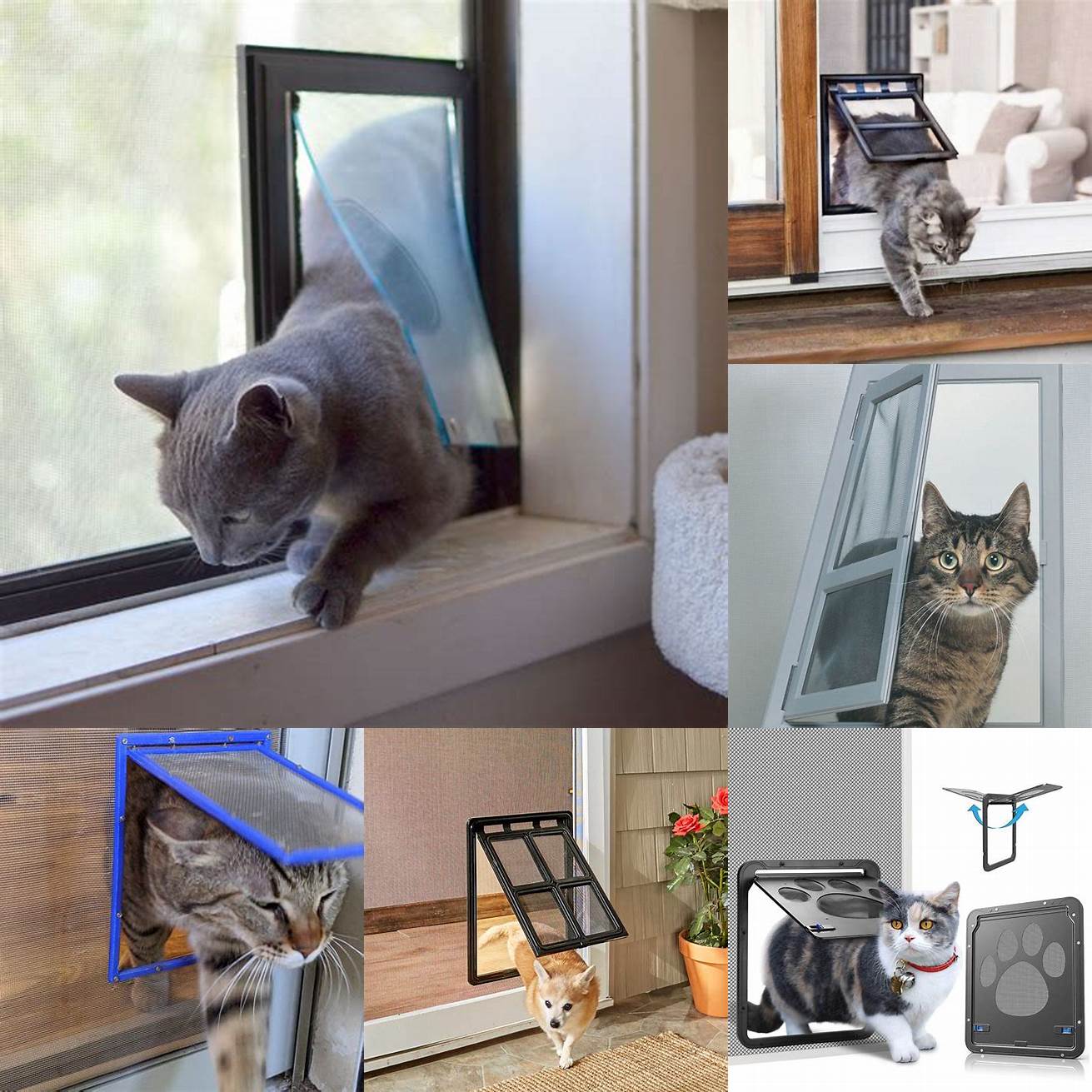 Clean the cat door for screen regularly to prevent dirt and debris buildup