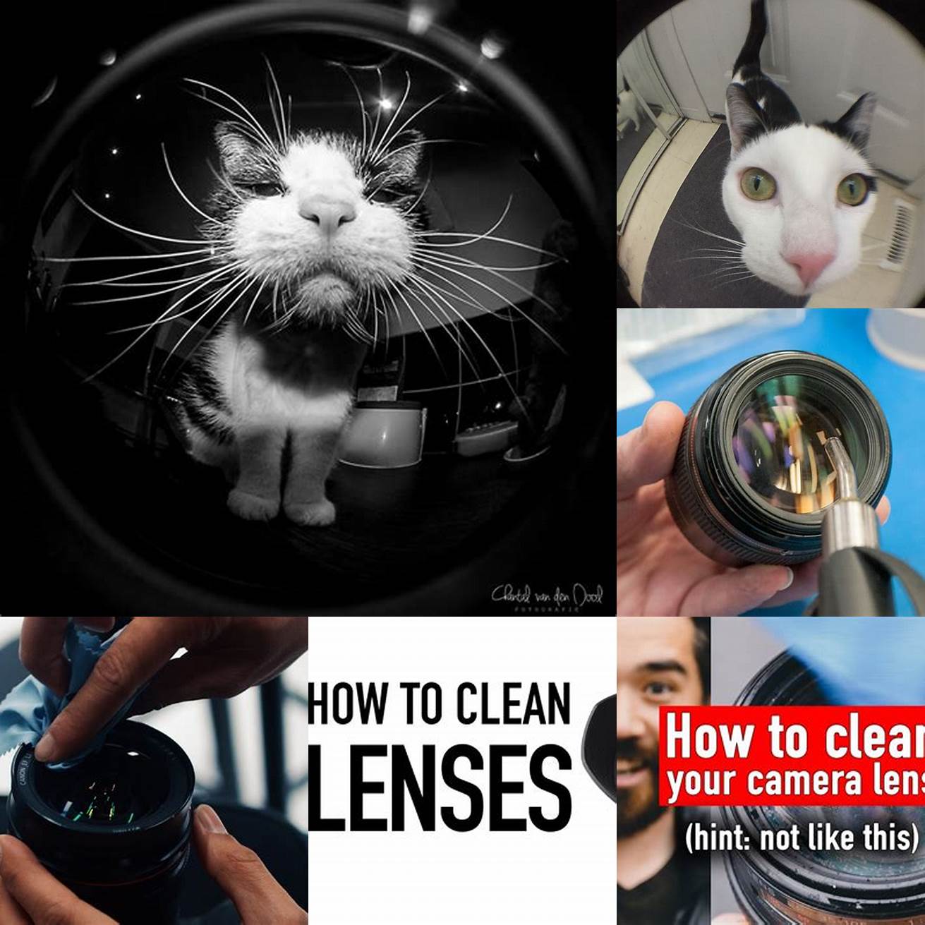 Clean the lens daily