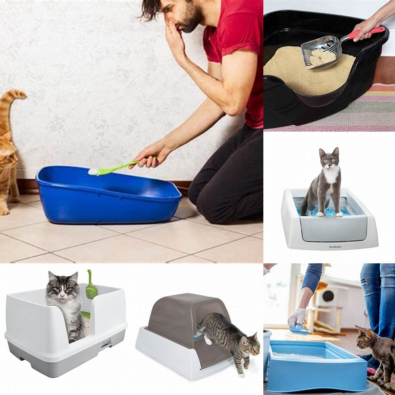 Clean the litter box regularly to keep it fresh and odor-free