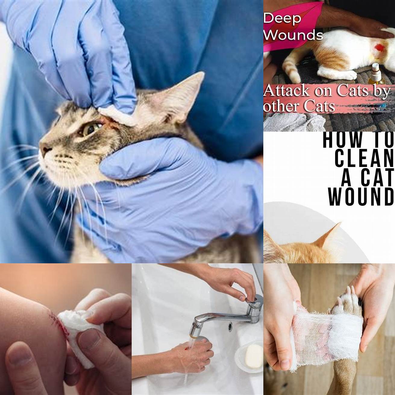 Clean the wound with lukewarm water and soap