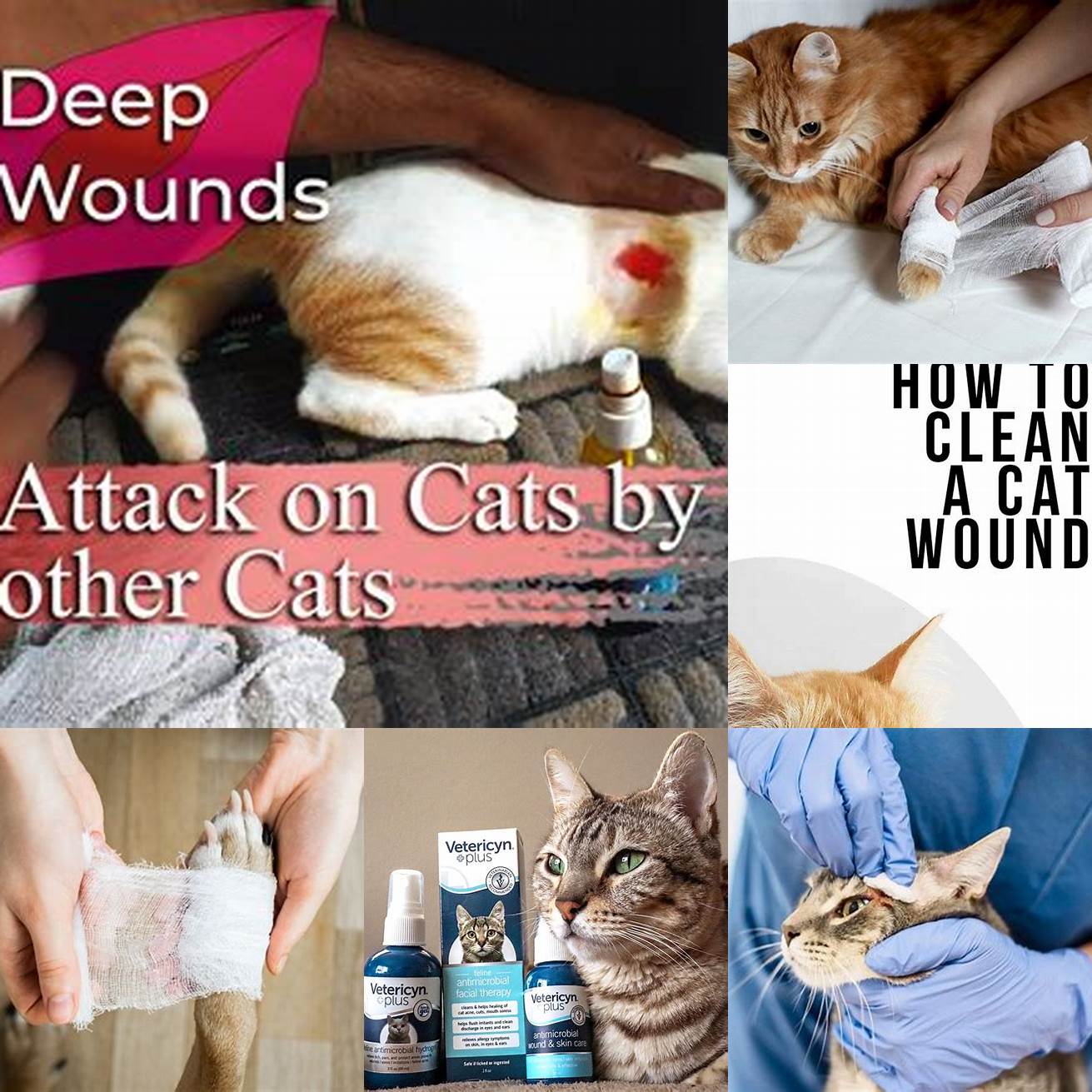 Clean the wound with soap and water