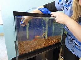 Cleaning fish tank