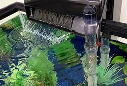 Cleaning Fish Tank Filter System