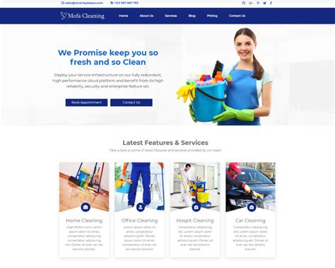 Cleaning Services Website Template Free