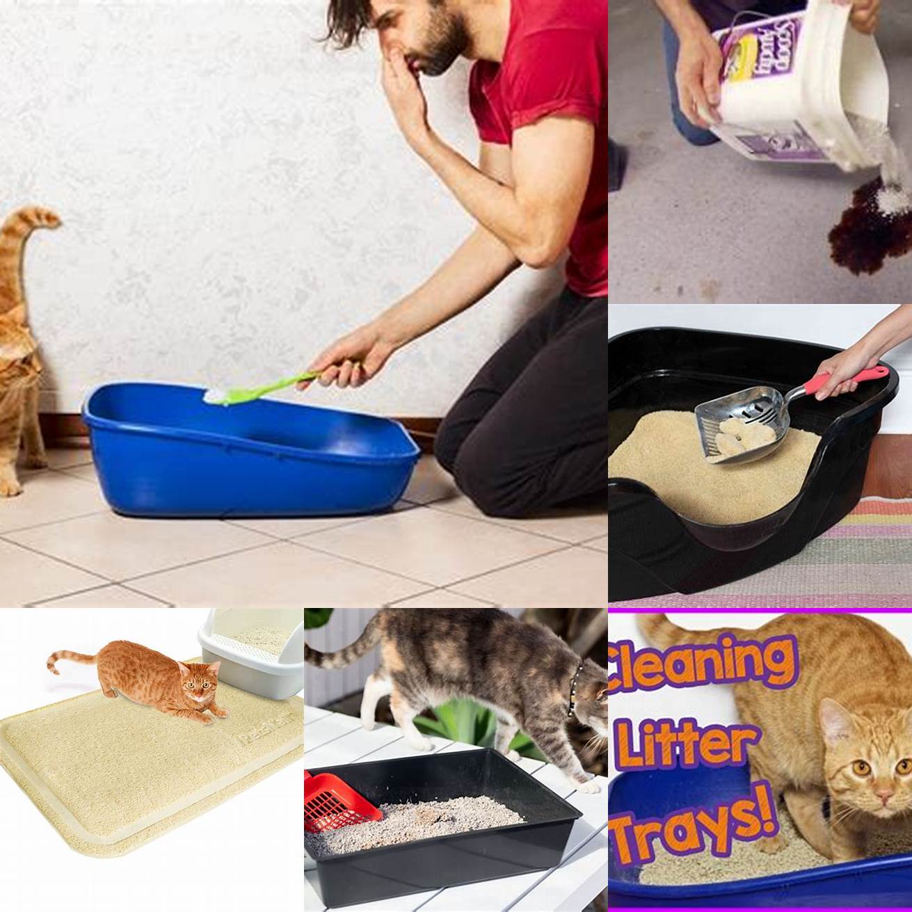 Cleanup Cat litter can be used to absorb the oil that has already spilled
