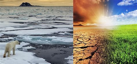 Climate Change Ecosystem
