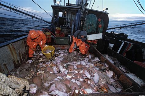 Climate change on fishing industry