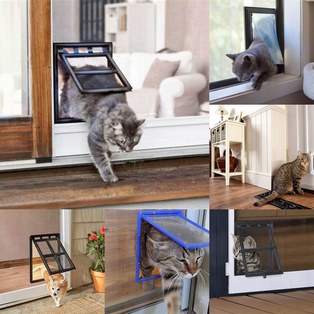Close the cat door for screen at night or when youre not home to prevent unwanted visitors from entering your home