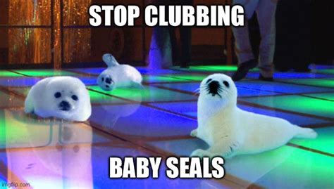 Baby Seals Meme