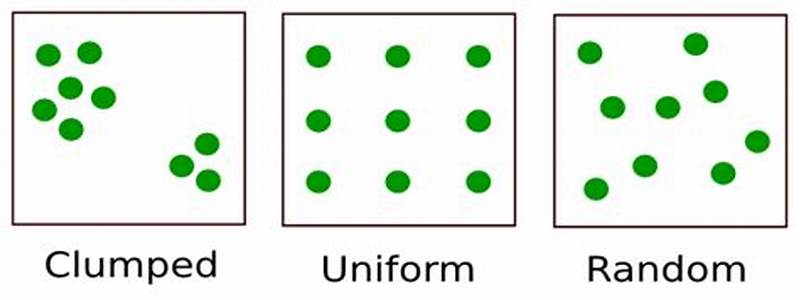 Clumped Distribution Pattern