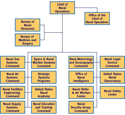 Cno Org Chart